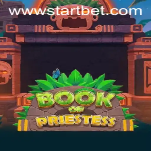 Start bet Casino App